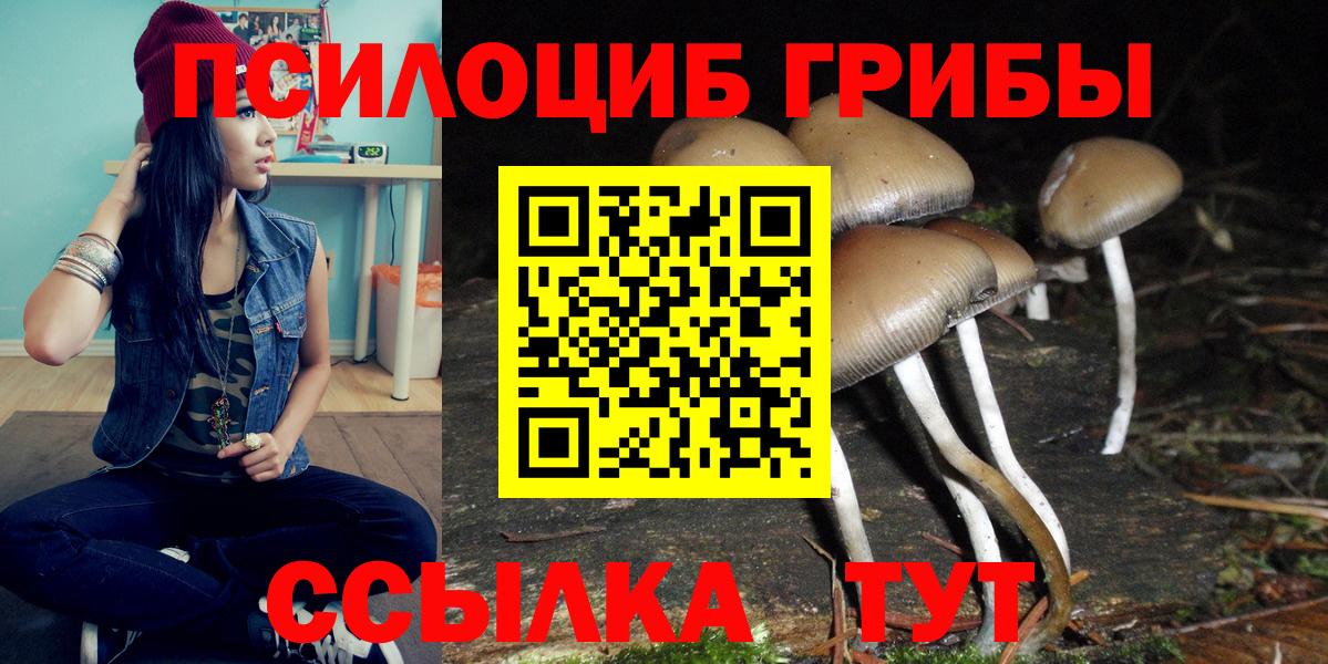 Псилоцибиновые грибы MAGIC MUSHROOMS  Вход с VPN  Псилоцибиновые грибы мухоморы  Сургут 